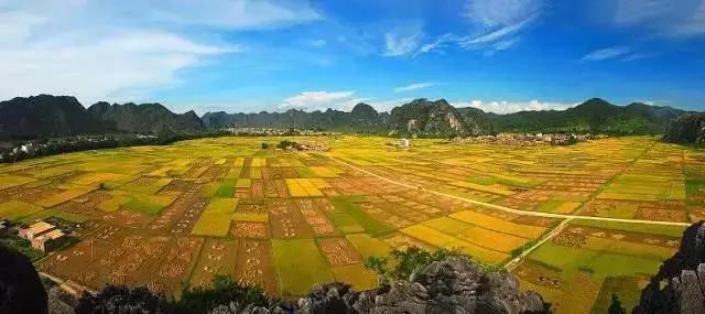 中國(guó)經(jīng)濟(jì)體制改革基金會(huì)全國(guó)第一！中國(guó)改革熱度第三方評(píng)估出爐，云浮宣傳系數(shù)在全國(guó)343個(gè)城市居首位                             