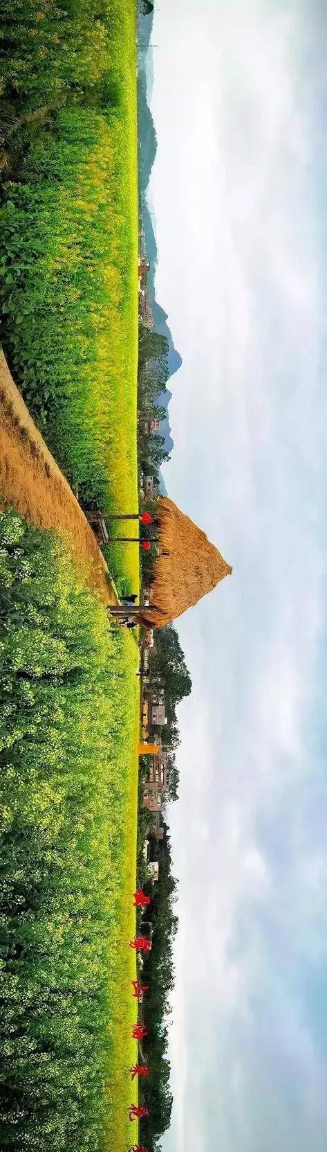 中國(guó)經(jīng)濟(jì)體制改革基金會(huì)全國(guó)第一！中國(guó)改革熱度第三方評(píng)估出爐，云浮宣傳系數(shù)在全國(guó)343個(gè)城市居首位                             